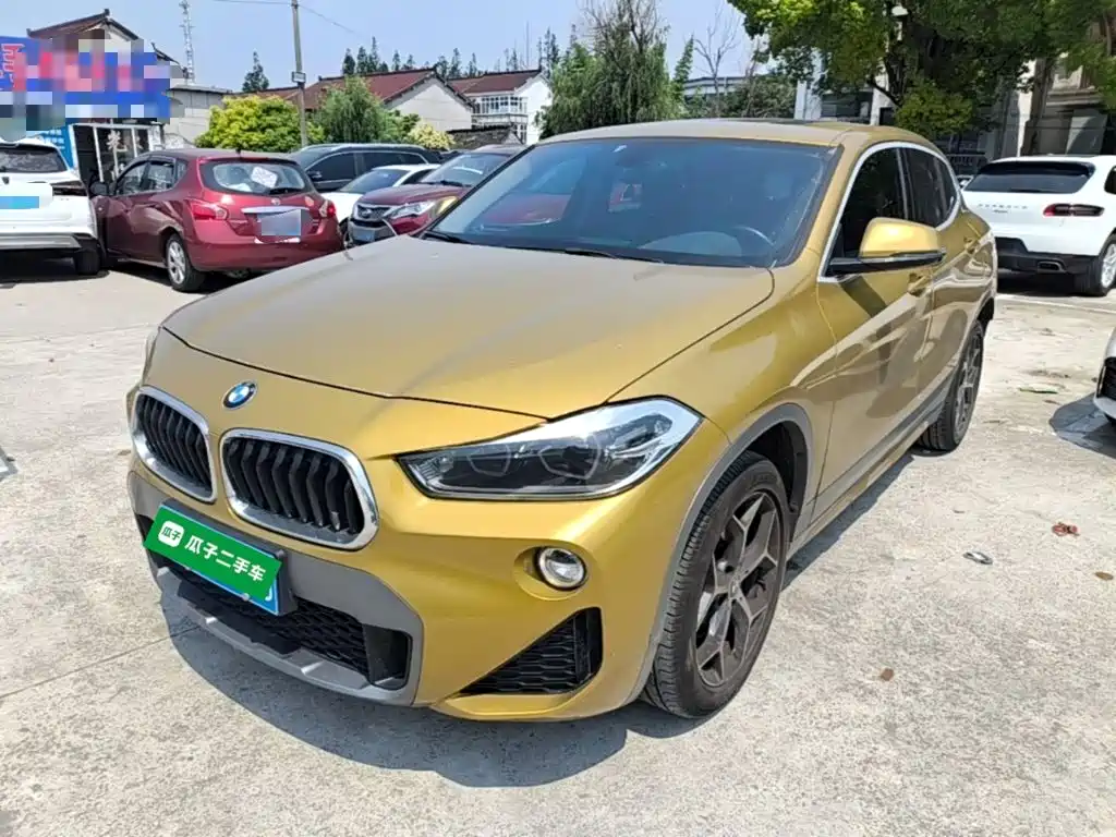 BMW X2 (Import) 2019 2019 sDrive20i M Off-Road Package China VI