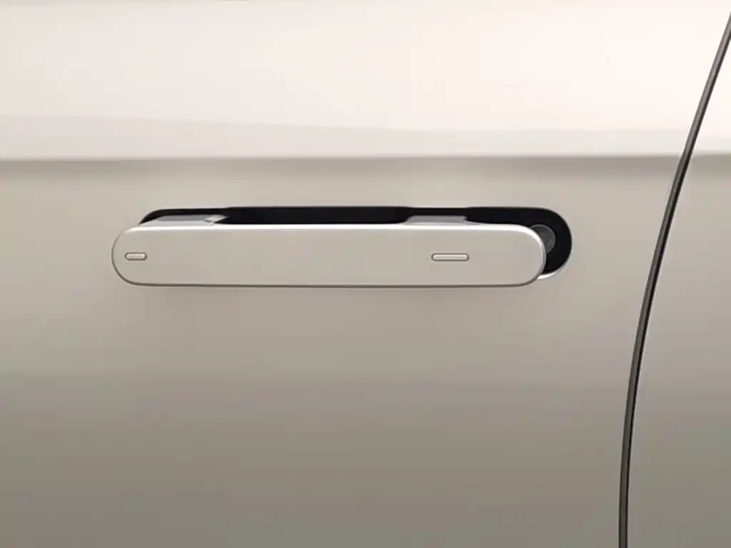 Photo 18 - Volkswagen Sagitar