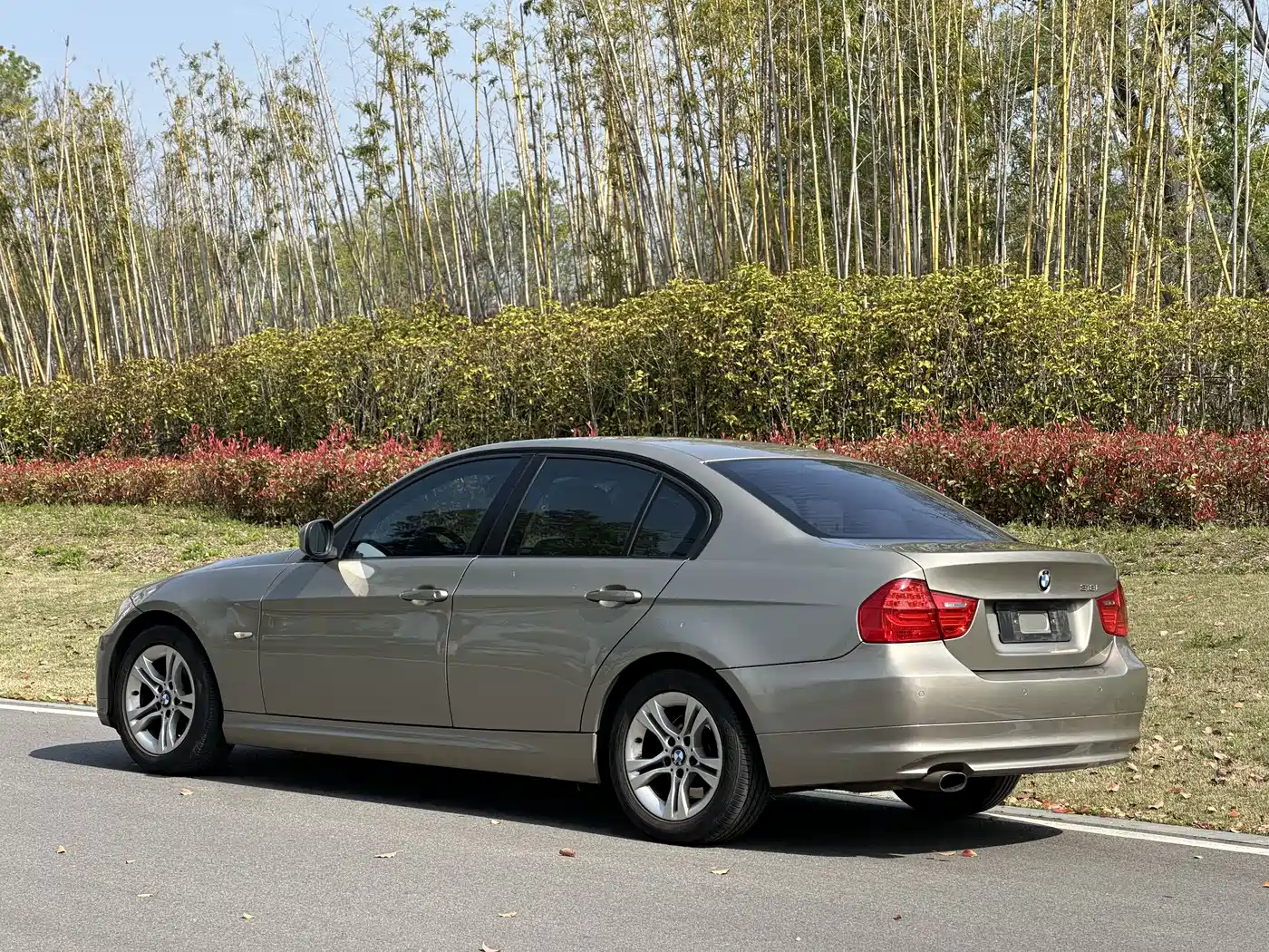 BMW 3 Series (Import) 2012 318i Leading фото 4