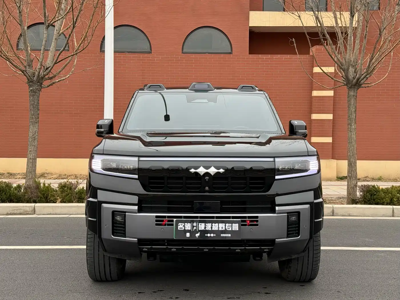 FANG CHENG BAO LEOPARD 8