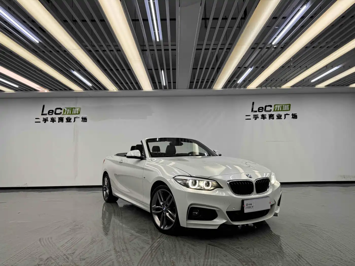 BMW 2 Series (Import) 2018 225i Convertible Coupe Premium M Sport Package фото 2