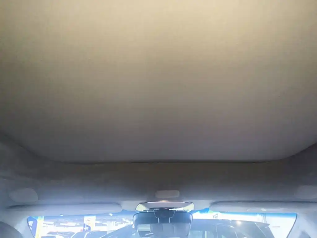 ZEEKR MIX 2026 2025 Smart Driving Edition