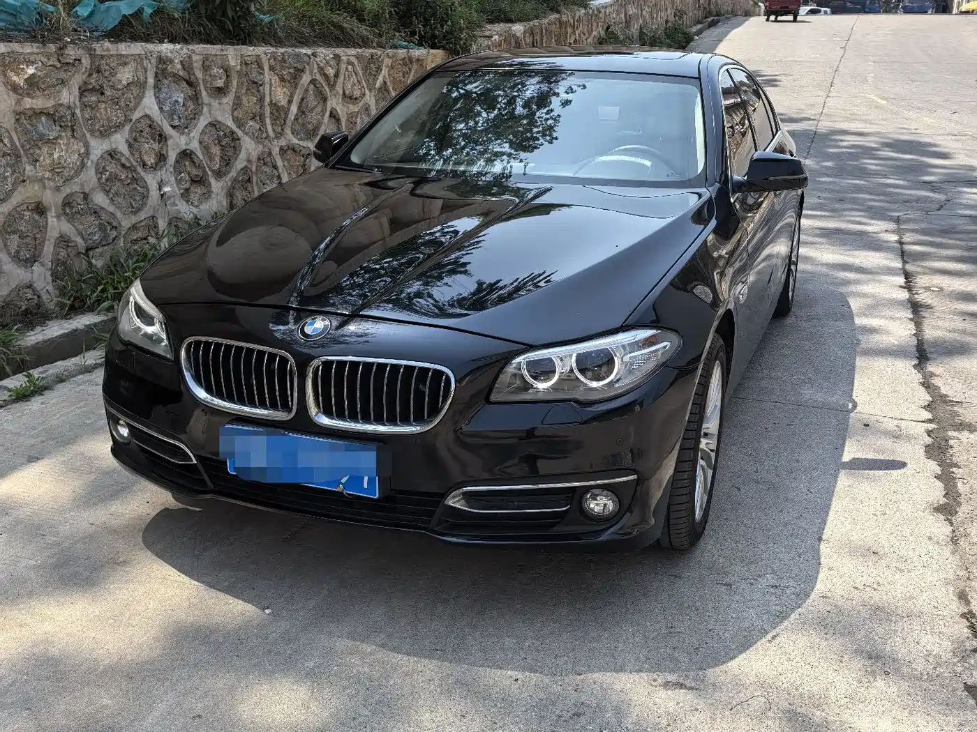BMW 5 Series 2014 525Li Luxury Design Package фото 2
