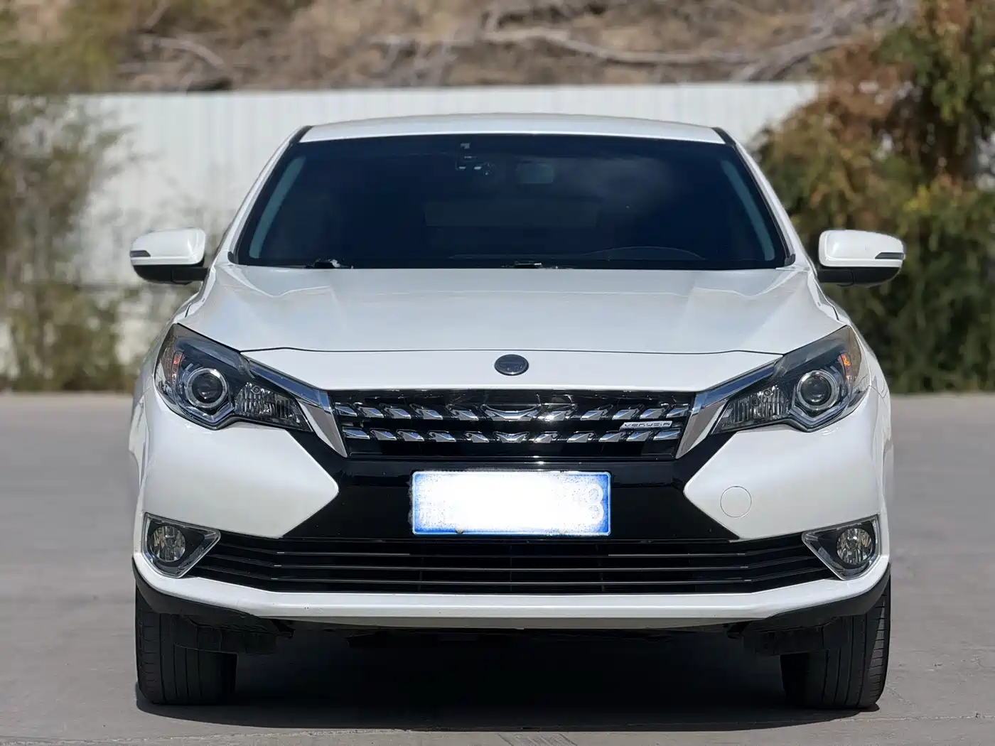 Venucia T90 2017 2017 2.0L Manual Trend