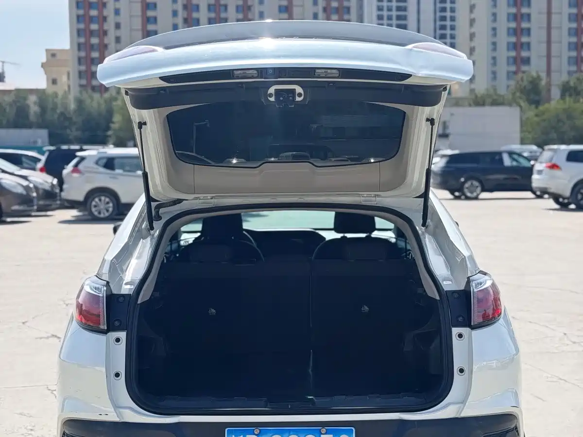 Venucia T90 2017 2017 2.0L Manual Trend