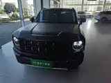 Фото 3 - Haval Cool Dog