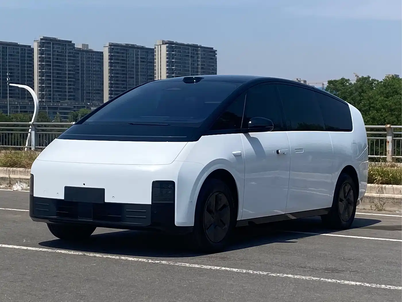 Li Auto MEGA 2025 Model Home Family Special Edition