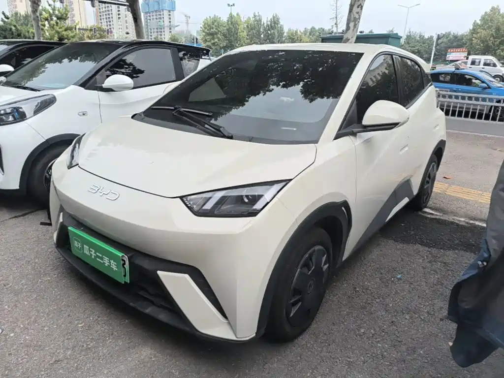 BYD Seagull 2024 Glory Edition 305km Vitality Edition
