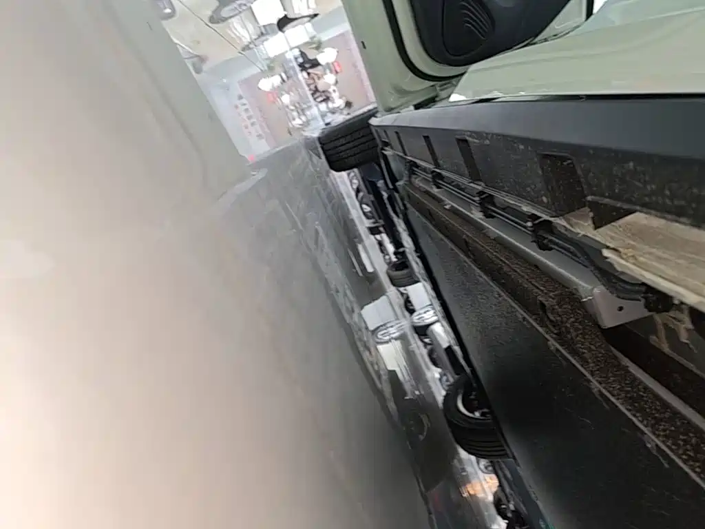 BYD Dolphin 2026 2025 420km Freedom Edition