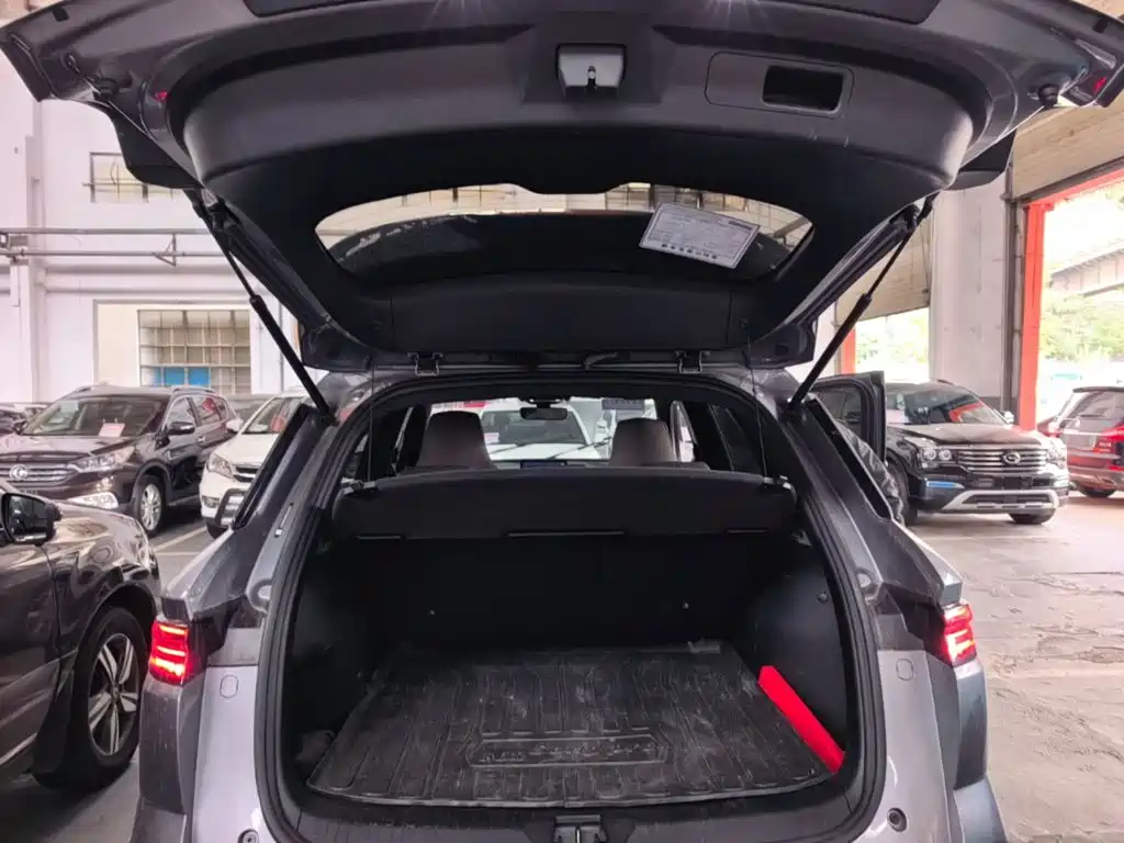 BYD Song Pro New Energy 2025 2024 Glory Edition DM-i 71KM Pilot