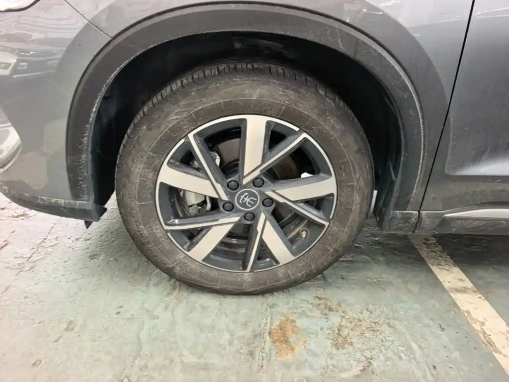 BYD Song Pro New Energy 2025 2024 Glory Edition DM-i 71KM Pilot