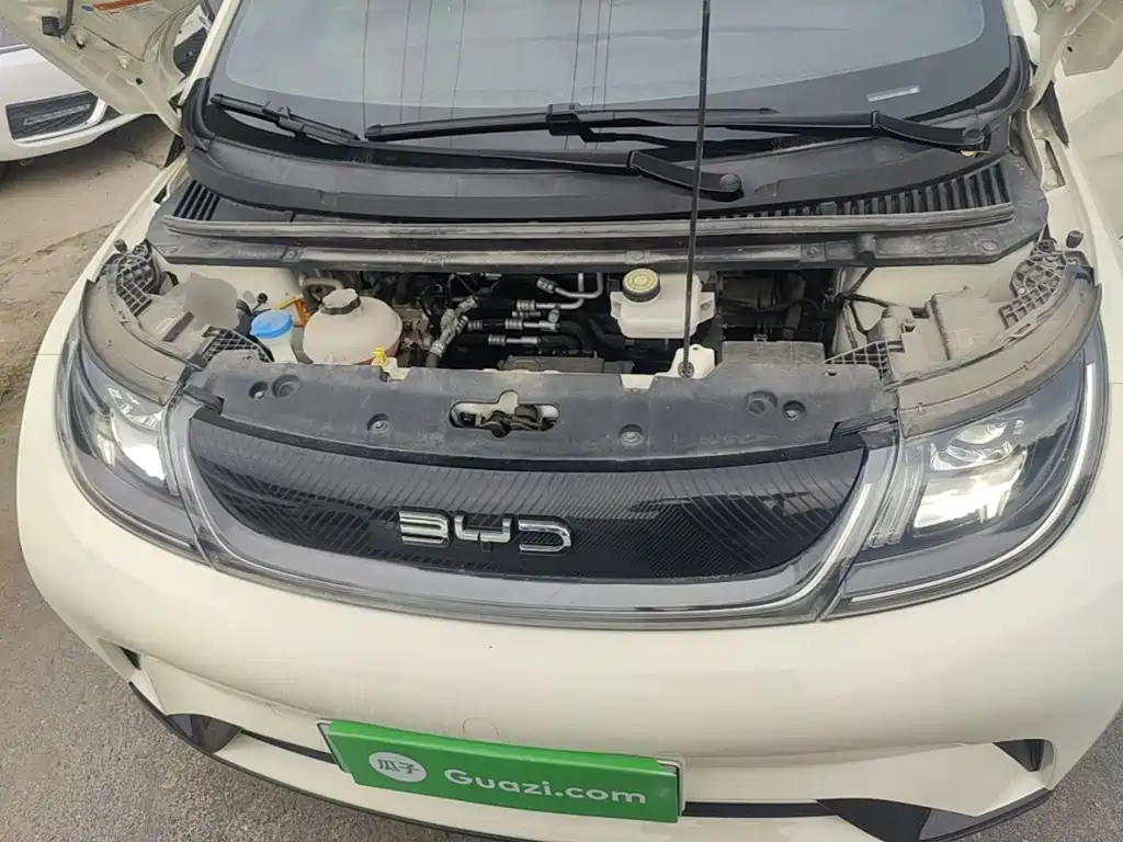 Photo 20 - BYD Dolphin