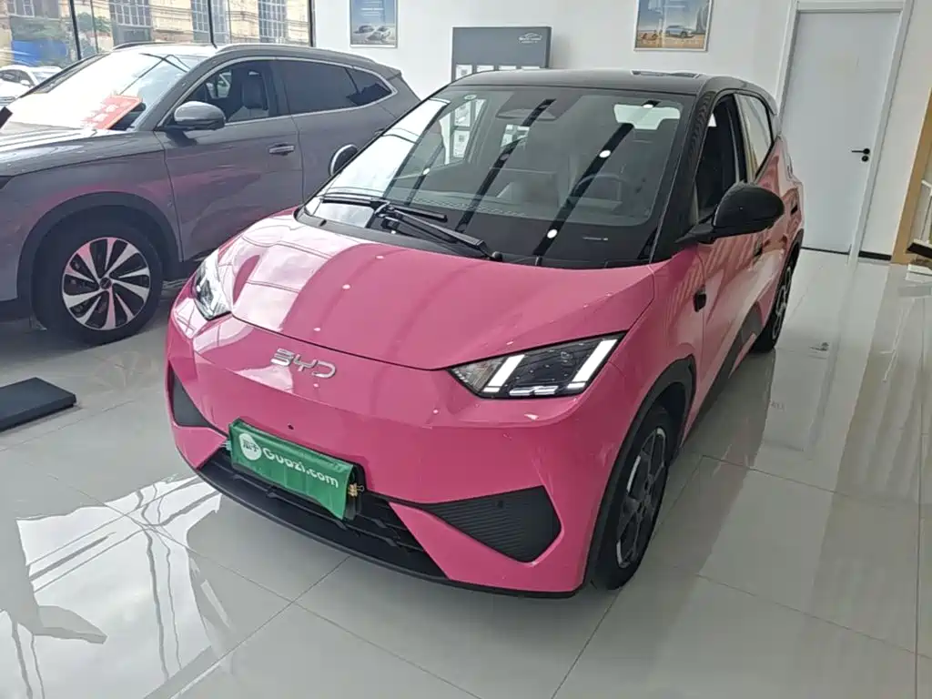 BYD Seagull 2025 Smart Drive Edition 305km Freedom Version