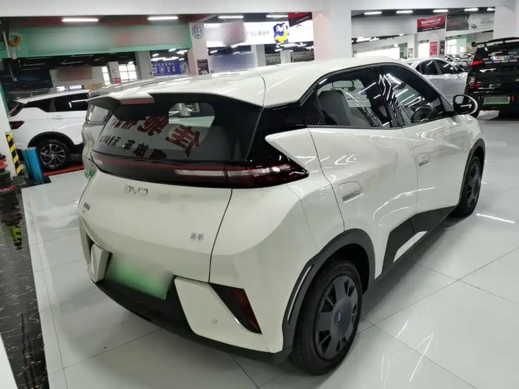 BYD Seagull 2026 2025 Smart Drive Edition 305km Vitality Version