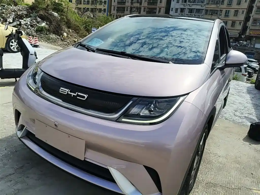 BYD Dolphin 2021 Model 405km Fashion Edition