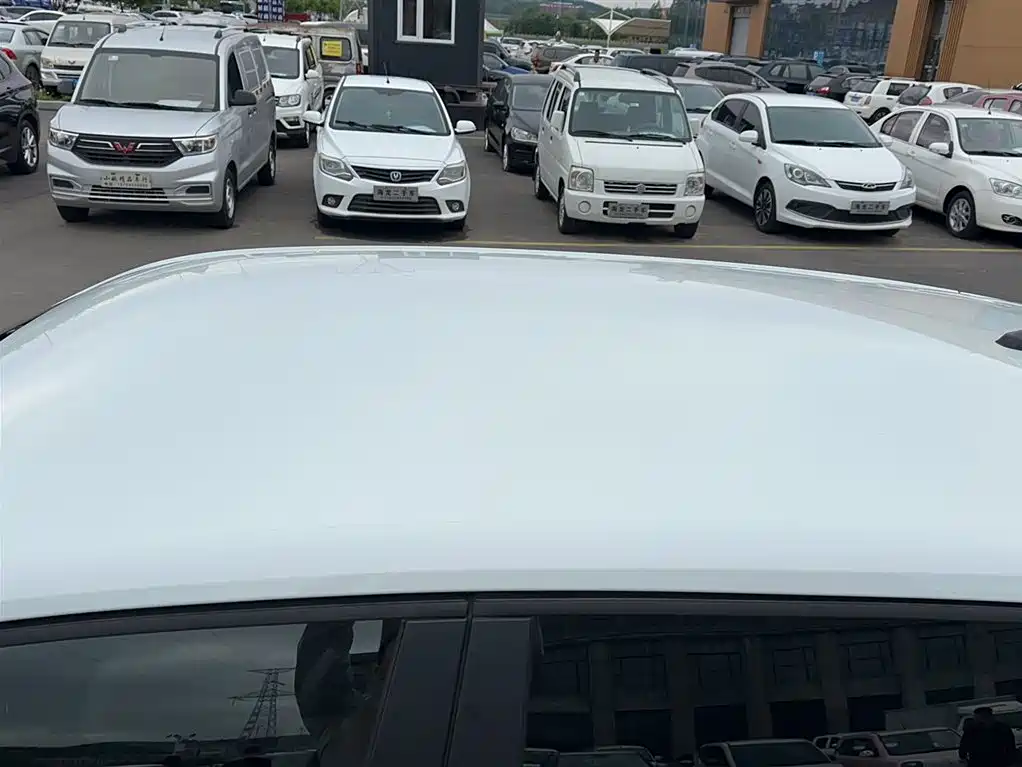 VOLKSWAGEN TUYUE