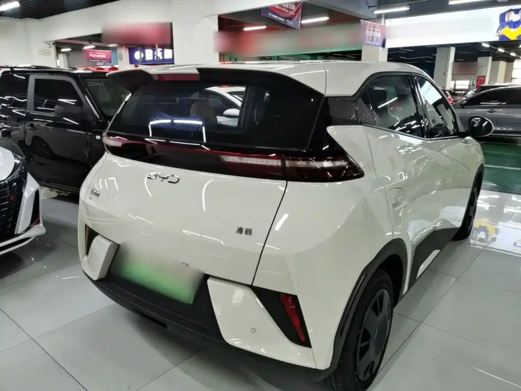 BYD Seagull 2026 2025 Smart Drive Edition 305km Vitality Version