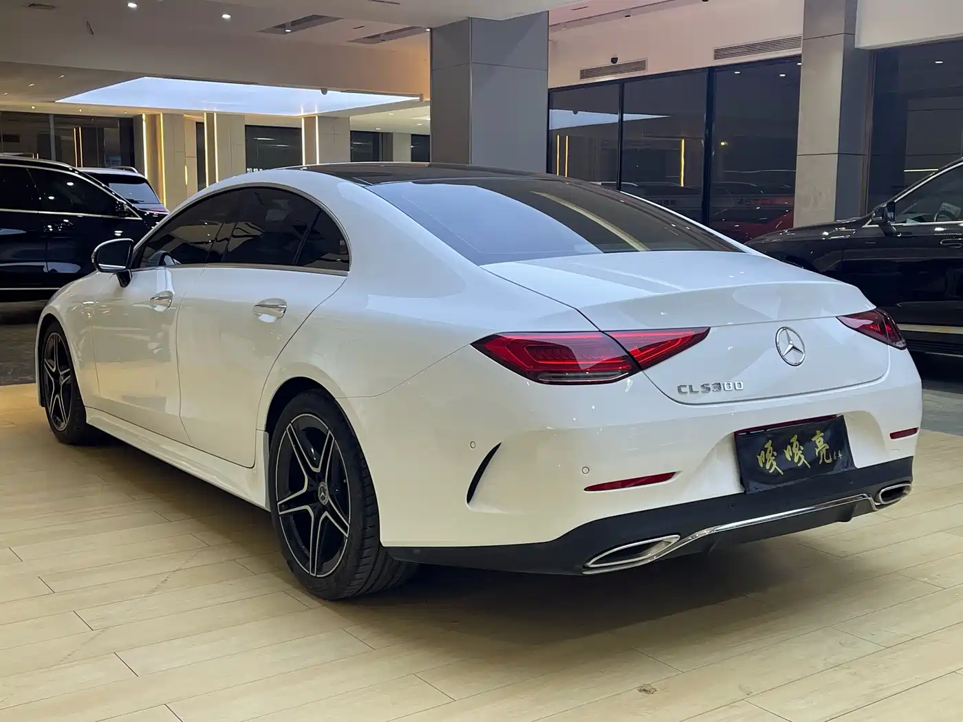 Mercedes-Benz CLS 2023 Model CLS 300 Luxury Version фото 9