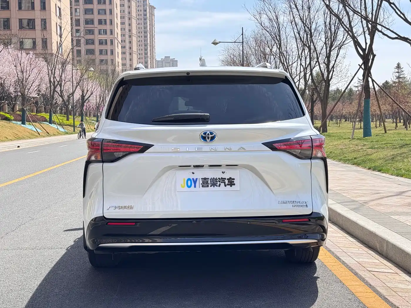 Toyota Sienna 2021 2.5L Hybrid Ultimate Edition фото 5