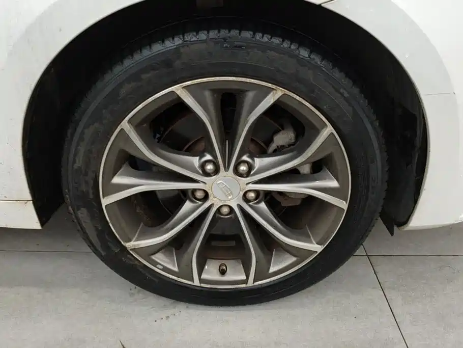 Фото 6 - Geely Borui