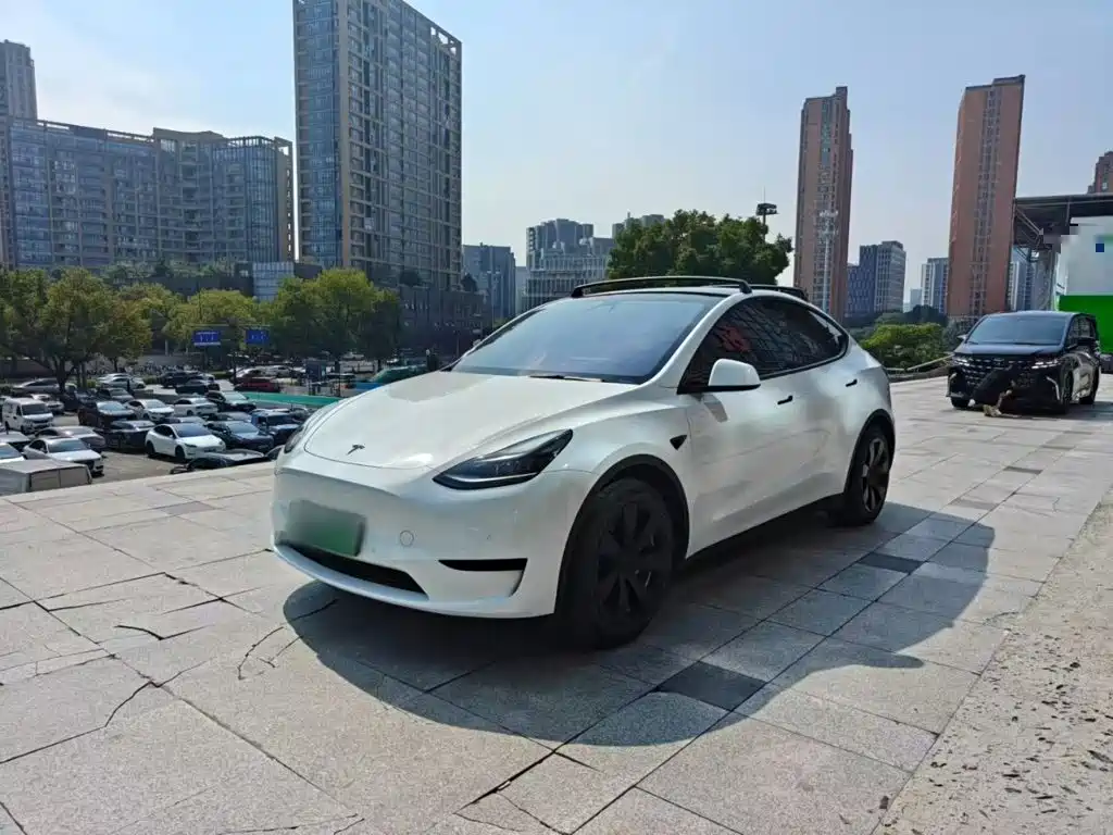 Tesla Model Y 2022 Rear-Wheel Drive Version