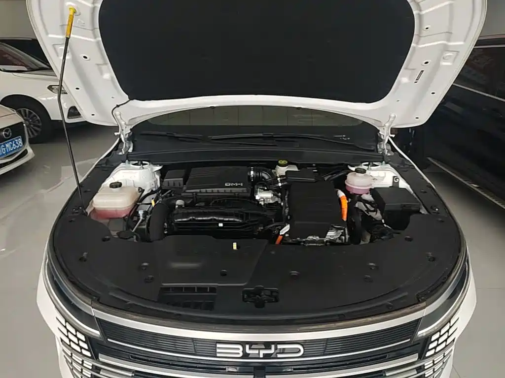 Фото 20 - BYD Destroyer 05