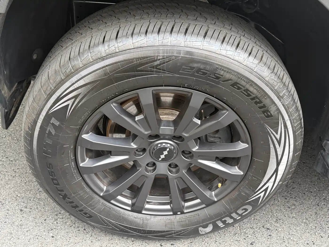 FANG CHENG BAO LEOPARD 5