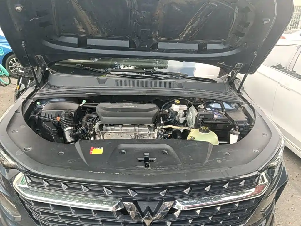 صورة 20 - Wuling Motors Wuling Victory