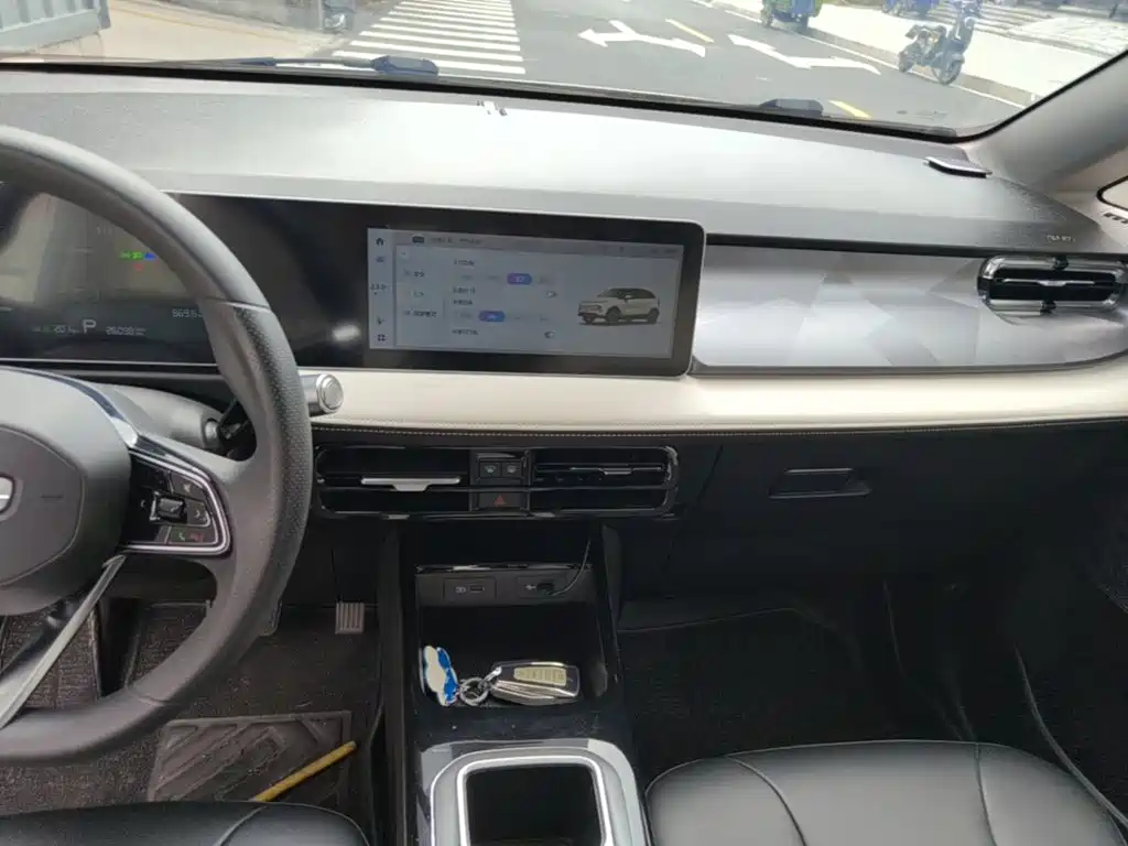 Geely Geometry E Firefly 2024 2024 Model 301km Starlight