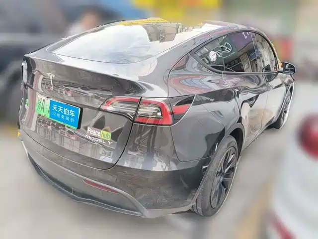 Tesla Model Y 2024 Rear-Wheel Drive Version — фото 2