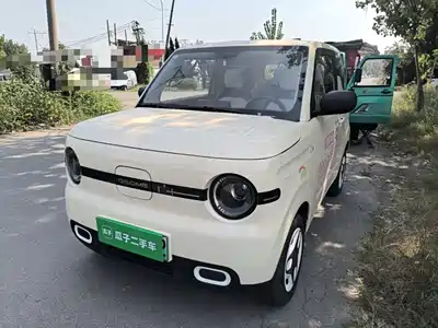 Geely Panda