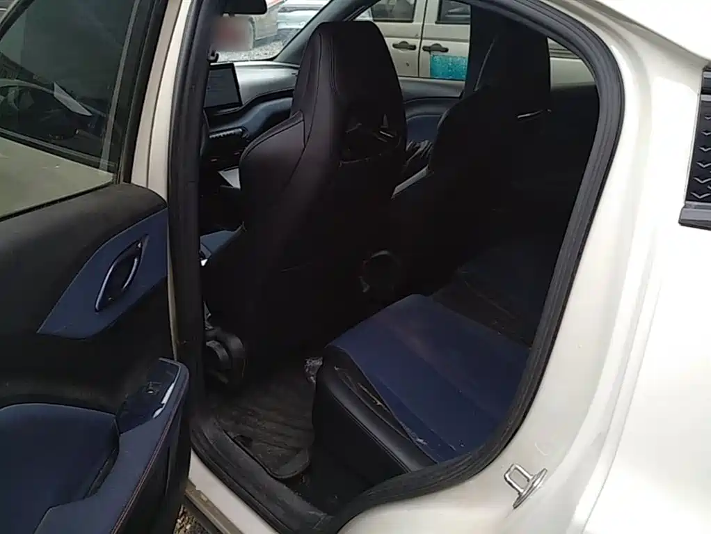 BYD Seagull 2024 Glory Edition 305km Vitality Edition фото 17