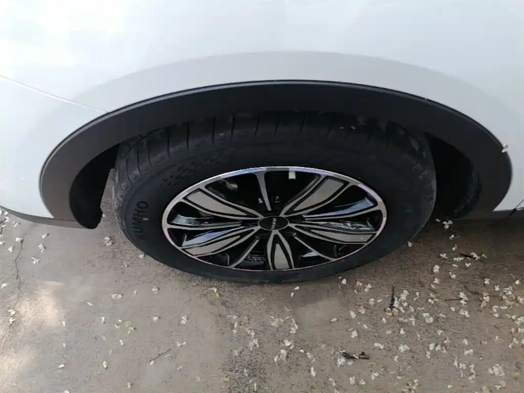 Haval H6 2023 National Trend Edition 1.5T Automatic Champion фото 23