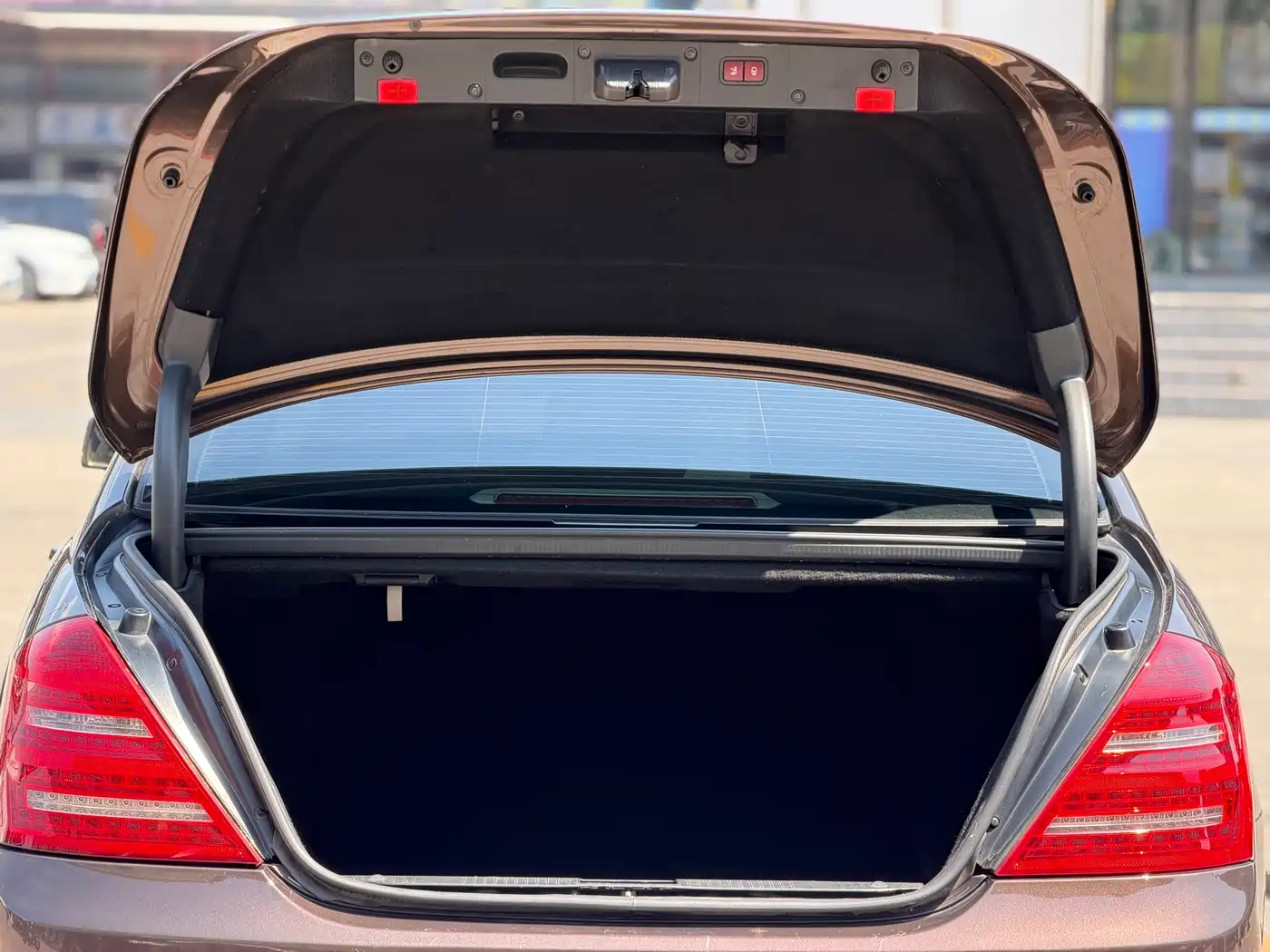 Mercedes-Benz S-Class 2010 S 300 L Premium фото 6