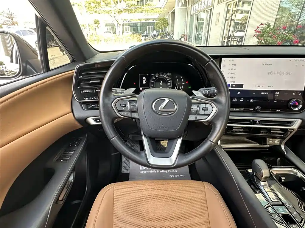LEXUS RX