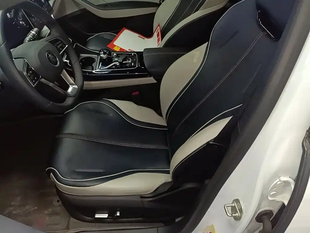 BYD Qin PLUS 2021 DM-i 55KM Flagship фото 15