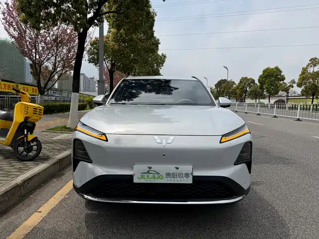 WULING WULING XINGGUANG S