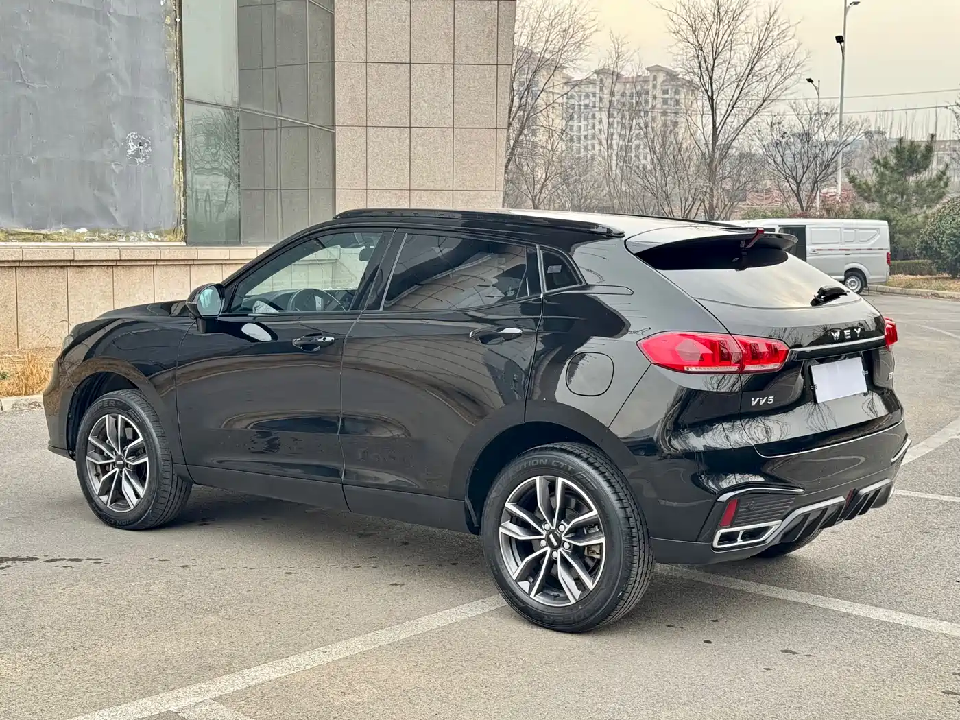 WEI PAI WEI BRAND VV5