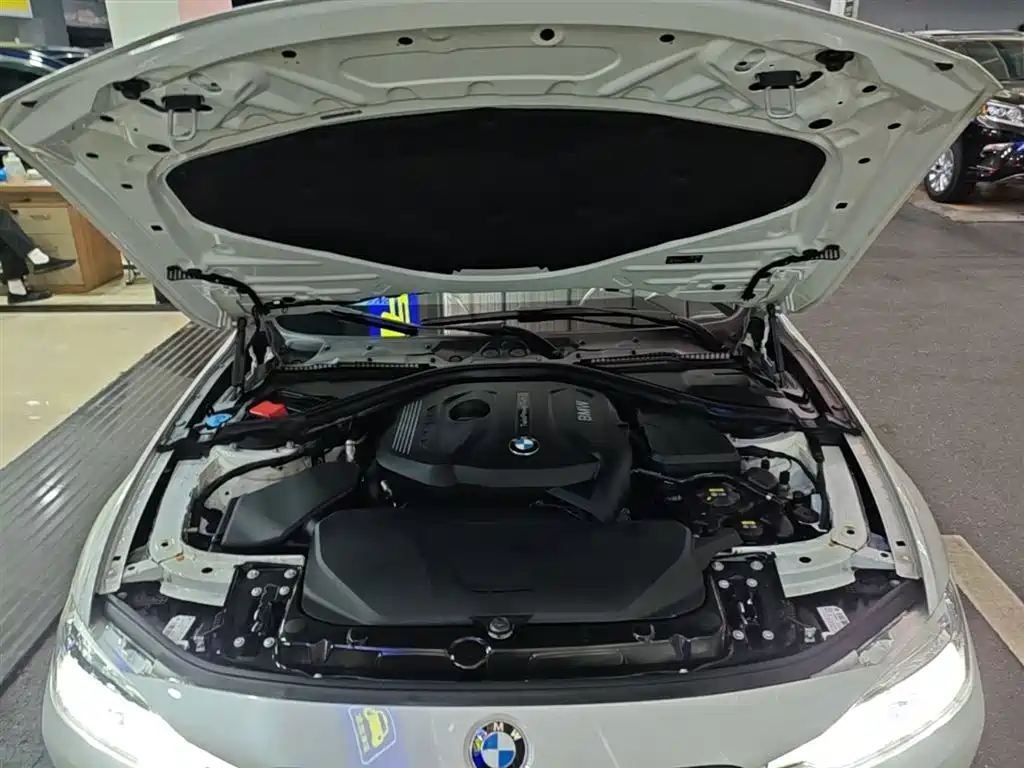 BMW 3 Series 2019 320Li Fashion Type фото 20