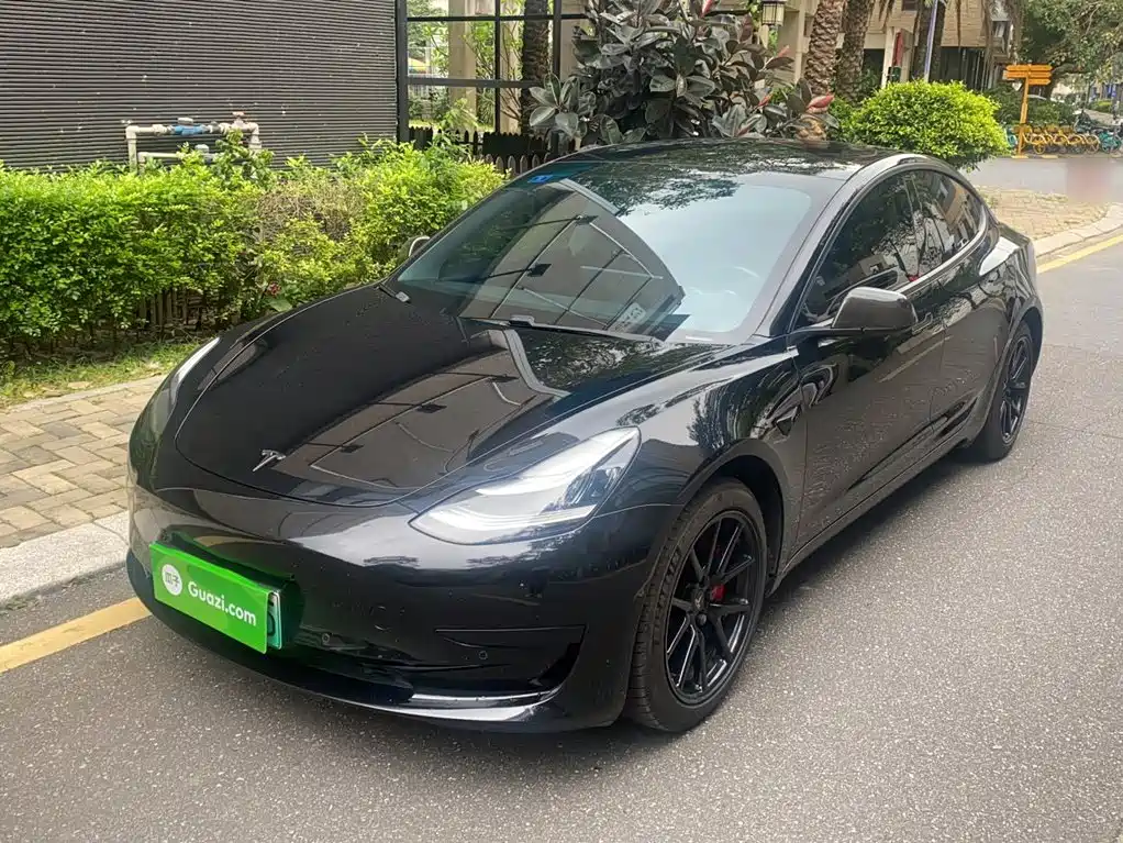 Tesla Model 3 2020 Facelift Standard Range RWD Upgrade