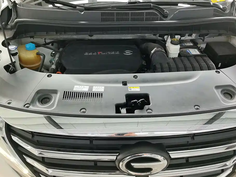 GAC Trumpchi Trumpchi M8 2021 Leading Show Series 390T Prestige Edition фото 10