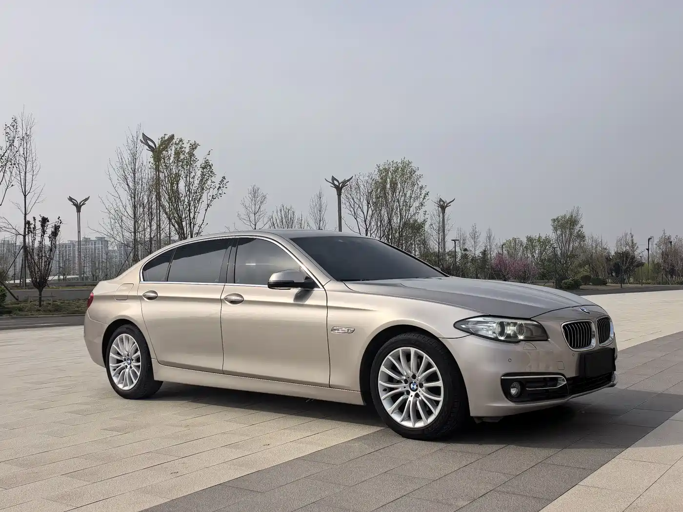 BMW 5 Series 2014 525Li Luxury Design Package фото 3