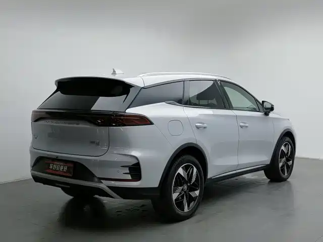 BYD Tang New Energy 2024 DM-i Glory Edition 112KM Deluxe — фото 2