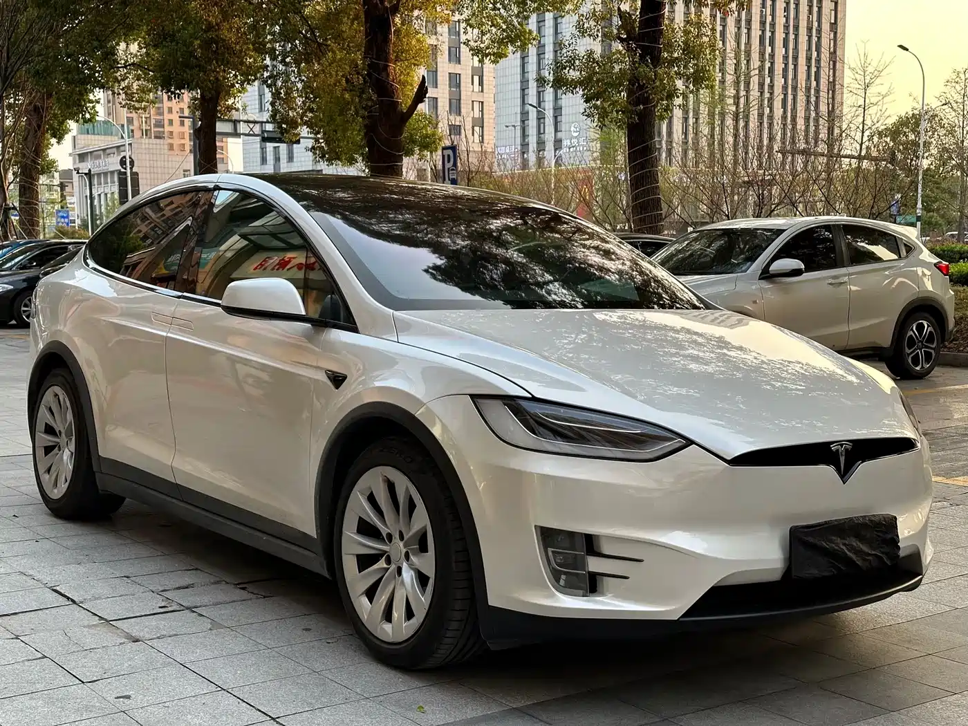 TESLA MODEL X
