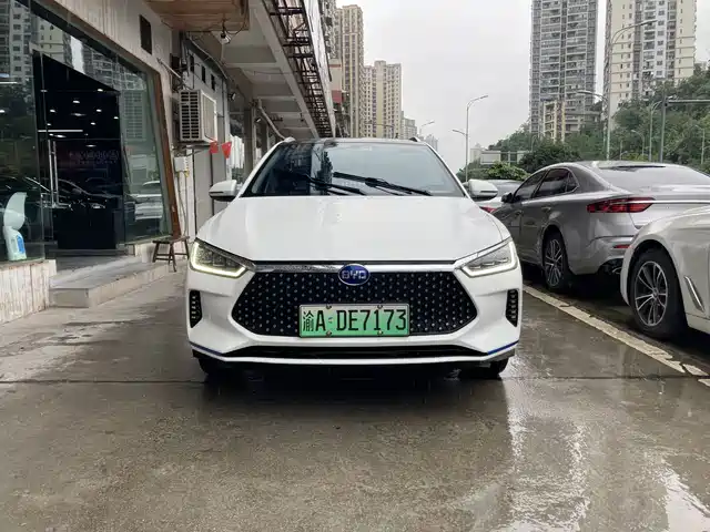  BYD BYD e2 2020 Upgraded Long Range Luxury