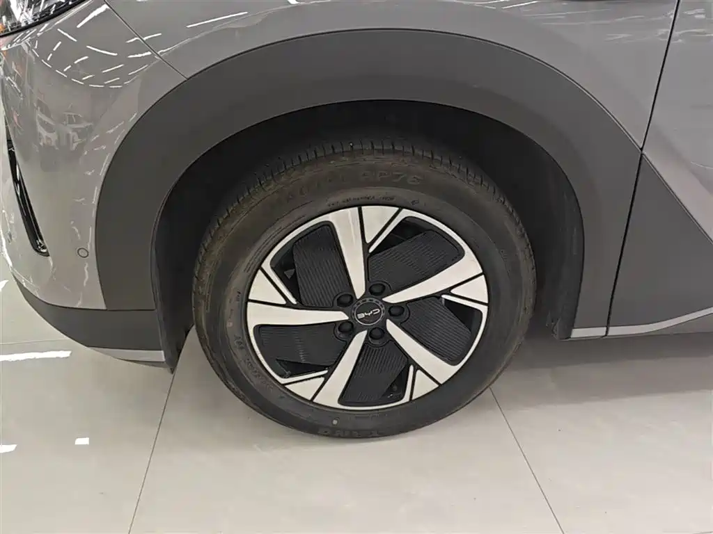BYD Hai Shi 05 EV 2025 520KM Smart Navigation Edition фото 23