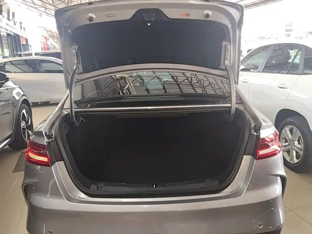 Geely Geometry G6 2024 2024 500KM Premium