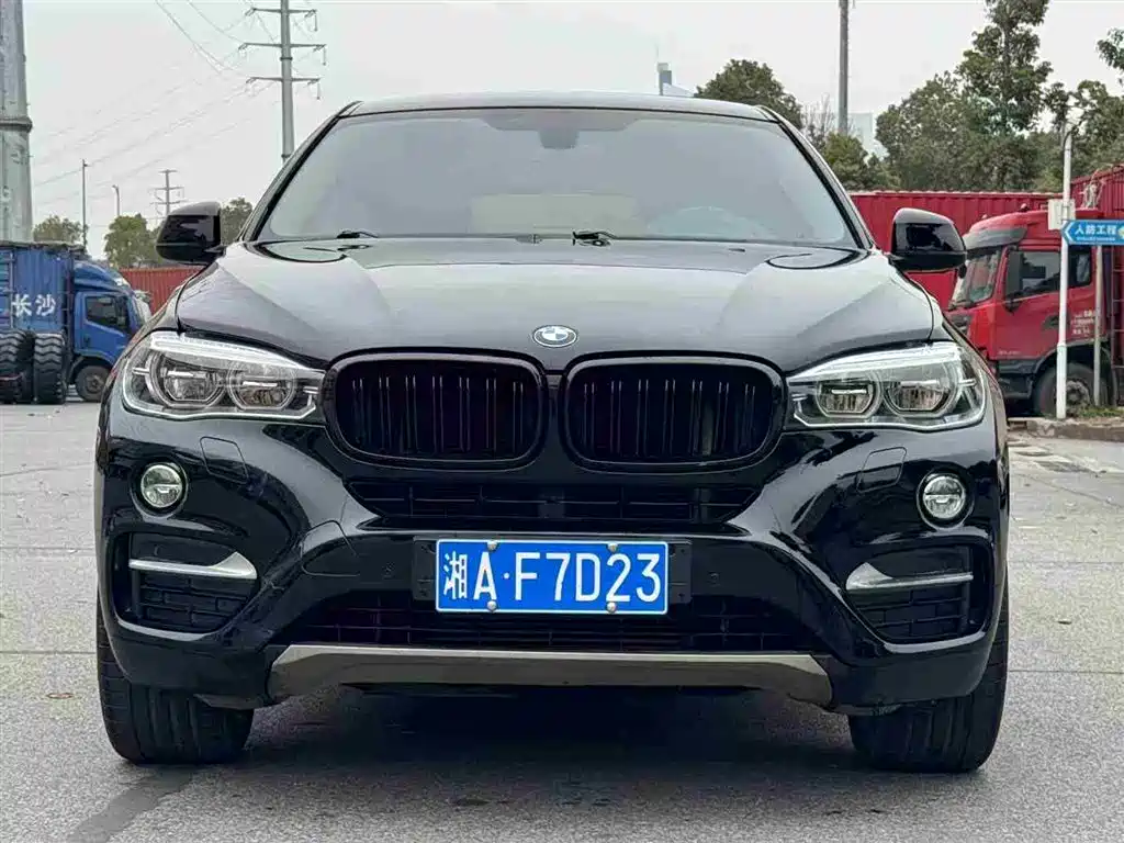 BMW X6 2015 xDrive35i Leading Type фото 2