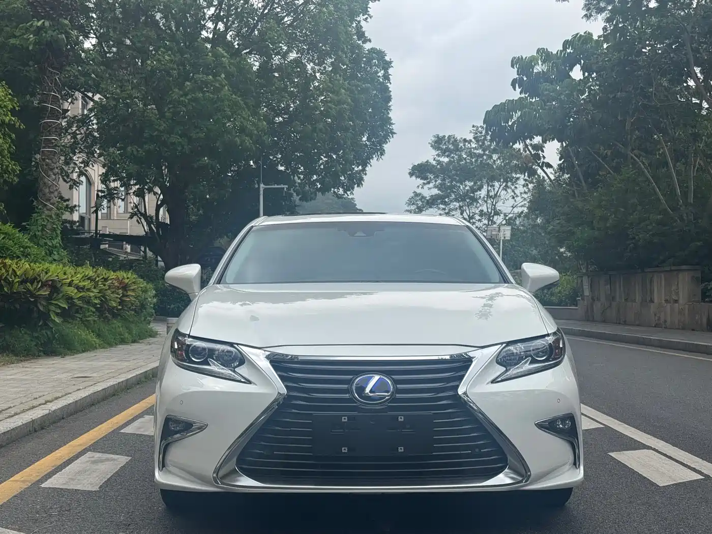 Lexus ES 2015 300h Comfort Edition фото 2