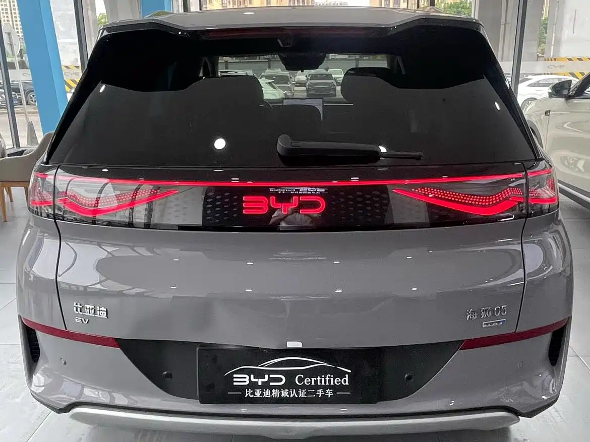 BYD Hai Shi 05 EV 2025 520KM Flagship Smart Navigation Edition фото 10